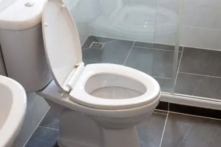 Rekomendasi Jasa Sedot WC Kediri Termurah, Dilengkapi dengan Nomor Telepon Pemiliknya