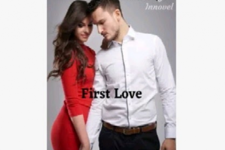 Baca Novel First Love Anita Dan Ervan Gratis Full Chapter, Ketika Cinta Masa Lalu Belum Kelar