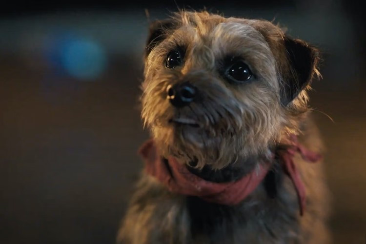 Link Nonton Film Strays (2023) Sub Indo Full Movie, Begini Nih Sudut Pandang Anjing yang Dibuang Oleh Pemiliknya di Jalanan 