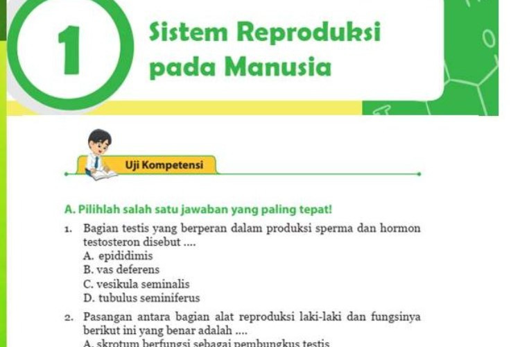 Soal dan Kunci Jawaban IPA Kelas 9 SMP/MTS Semester 2 Halaman 90-92 Semester 2 Pilihan Ganda Tahun 2023 Kurikulum Merdeka