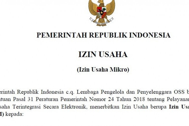 Manfaat Kantongi Izin Usaha Industri OSS, Permudah Pemilihan KBLI dan Investasi Ekonomi yang Baik