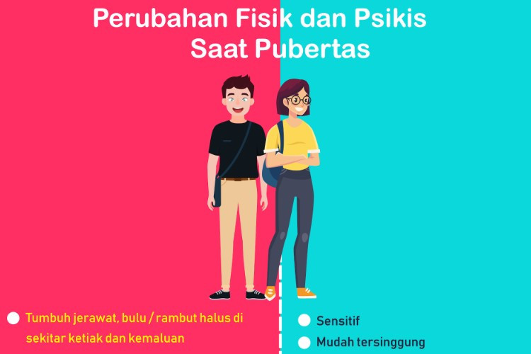 Contoh Soal IPA Kelas 6 SD/MI Semester 2 Kurikulum Merdeka TA 2022/2023 Tentang Masa Pubertas, Pilihan Ganda dan Essay