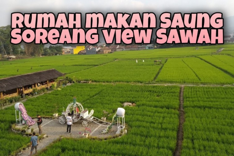 Alamat Lengkap  dan Jam Buka Rumah Makan Saung Soreang Bandung, Menikmati Makanan dengan Suasana Persawahan