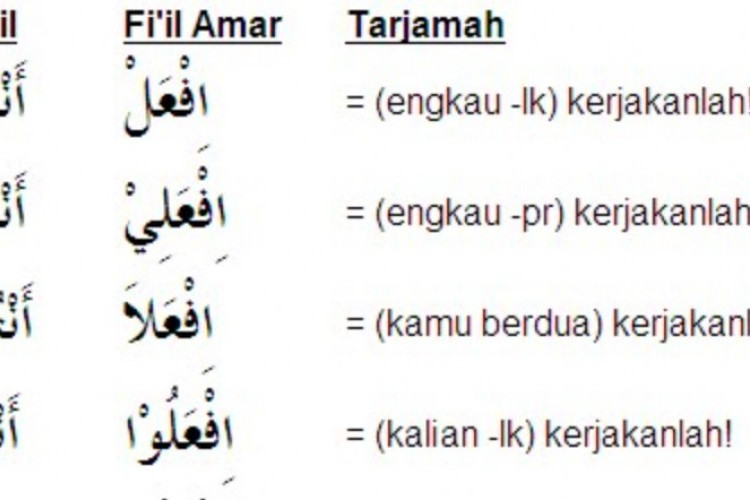 Kumpulan Contoh Fiil Amar dan Penjelasan Singkatnya, Mempermudah Belajar Ilmu Nahwu