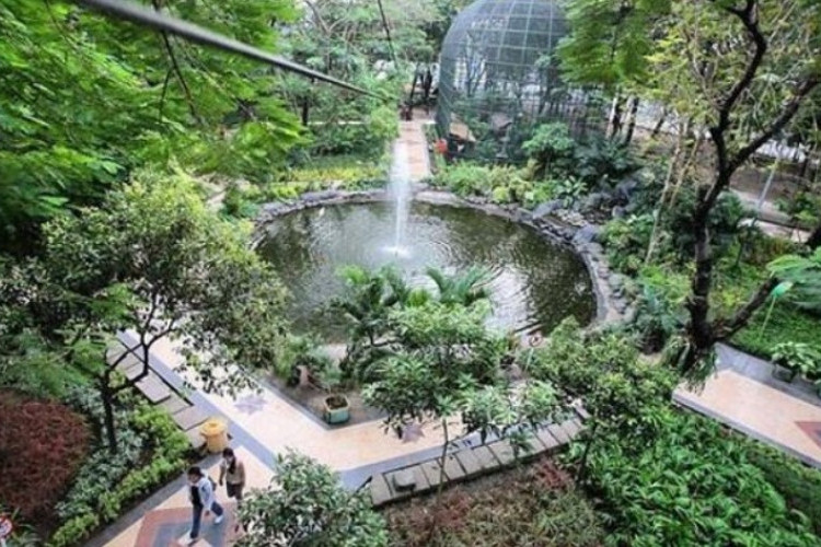 Mengenal Taman Flora Surabaya, Cocok Untuk Pinknik Bareng Keluarga dengan Nuansa Alam yang Indah