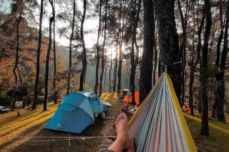 Rute dan Lokasi Bumi Perkemahan Guci Forest di Tegal, Tempat Wisata Alam Terbaru Cocok Untuk Healing!