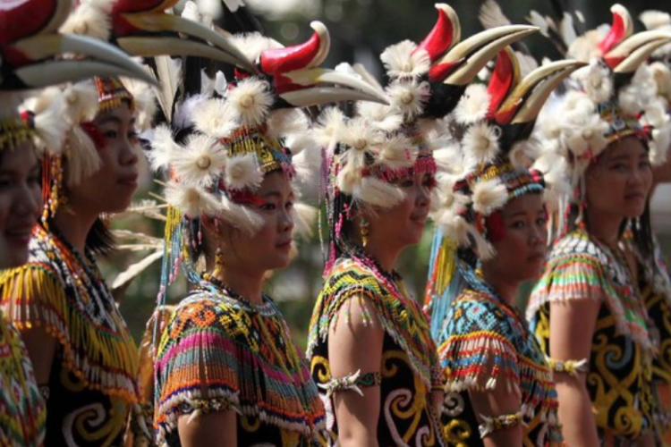 Suku-Suku di Pulau Kalimantan dan Penjelasannya, Ternyata Tak Hanya Dayak dan Banjar