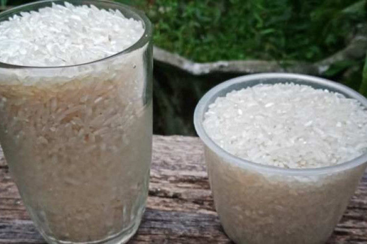 1 Liter Beras Untuk Berapa Porsi Nasi? Bisa Dijadikan Takaran Masak Sehari-hari!