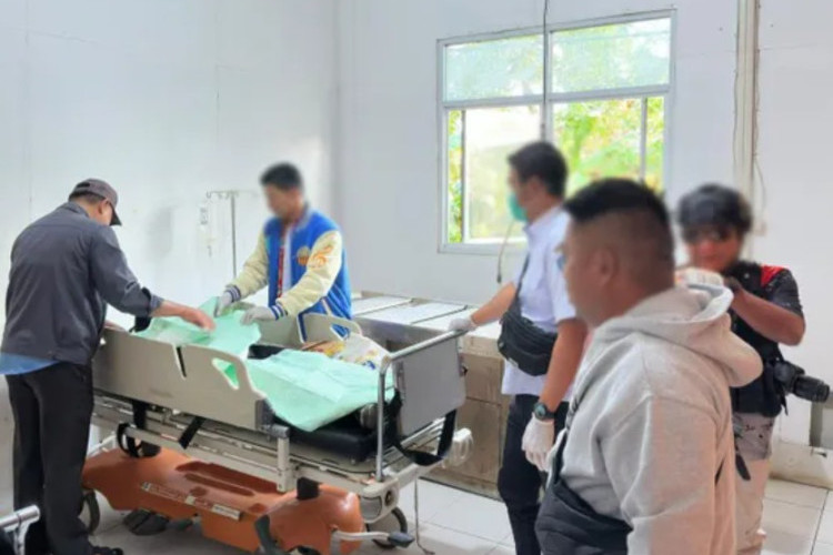 Heboh! 3 Pegawai Dinas Pertanian Tewas Ditembak KKB, Amran Soroti Tugas di Papua
