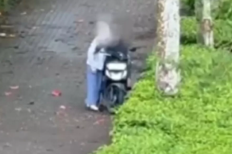 Terekam Mesum, Aksi Dua Sejoli di Kebun Teh Seroja Wonosobo Viral Hingga Tuai Kecaman! 