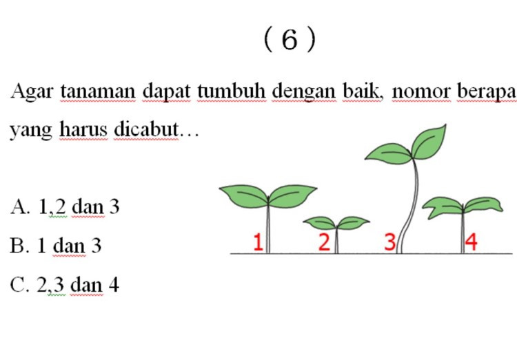 Contoh Soal Asah Terampil Petani Terbaru Untuk Tes CPNS Pilihan Ganda Beserta Kunci Jawabannya 