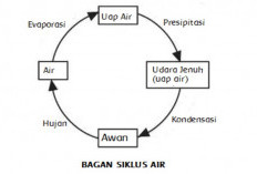 Contoh Soal Materi Siklus Air Disertai Jawaban dan Pembahasan Lengkapnya