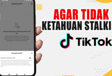 Cara Melihat Profil TikTok Tanpa Ketahuan Pemilik Akun Terbaru 2024, Ternyata Begini Supaya Tidak Ketahuan!