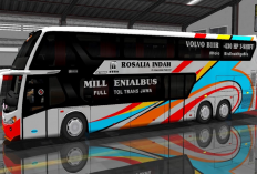 Download Livery BussID Double Decker Semua Tipe Terbaru 2023, Format PNG/JPG Paling Jernih dan Tinggal Pasang