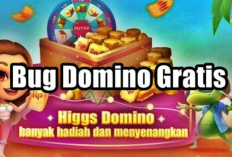Kumpulan Bug Gratis Higgs Domino Terlengkap Semua Room, Pakai Trik Ini Auto Jackpot Banyak!