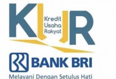 KUR BRI Online Terbaru 2023: Cara & Syarat Pengajuan Untuk Bisa Cairkan Uangnya