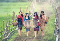 Kumpulan No WA Janda Jawa Timur Aktif 2023, Cari Jodoh dan Sederhana Cocok Buat Jadi Istri