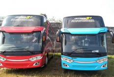 UPDATE! Jadwal Keberangkatan Bus Travel Rute Gilimanuk - Denpasar Agustus 2023, Bisa PP Juga Lho!