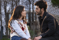 Sinopsis dan Jadwal Rilis Drama Turki Sol Yanim Season 2, Bertemu Kembali dengan Salim dan Serra
