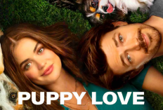 Sinopsis Film Puppy Love (2023) Kisah Nicole dan Max yang Disatukan Oleh Anjing Kesayangan 