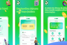 Pinjol Dana Raja Ada DC Lapangan? Tak Perlu Resah Begini Fakta Pinjaman Ini yang Perlu Kamu Tahu 