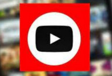 Download Xnview Indonesia Versi Terbaru 2023, Apk Versi Baru Dengan Ragam Fitur Menarik