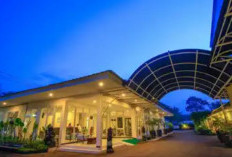 Rekomendasi Hotel Transit Jakarta Terbaik 2024, Lokasi Strategis Dekat Bandara dan Harga Terjangkau!