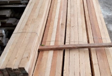 Daftar Harga Kayu Jati Per Kubik Terbaru 2024 Berbagai Ukuran, Dapatkan Pasaran Termurah Sebelum Borong