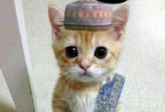 Download PP Kucing Lebaran FF SG 2 Viral TikTok dan Twitter, Rayakan Hari Kemenangan dengan Tampilan Akun Baru