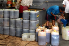Pengepul Minyak Jelantah Dijemput Gratis, Bisa Untuk Peluang Bisnis dengan Keuntungan Menjanjikan