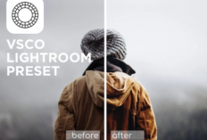 Preset VSCO Gratis Terkeren dan Aesthetic 2023 : Bisa Langsung Pakai! Tersedia Ratusan Filter Menarik