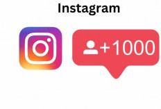 Cara Dapat Follower Gratis Terbaru 2024 di Followeran.com Pengikut Baru Setiap Hari Tanpa Bayar Tanpa Login 