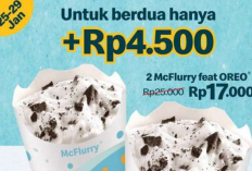 Promo McD 27-29 Januari 2023, Tebus Murah 2 McFlurry Oreo dan Paket 3 Ayam Plus Nasi 