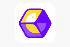 Apakah TK BOX APK Penghasil Uang Terdaftar OJK Atau Penipuan? Awas Scam! Ini Dia Review Jujurnya