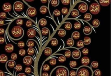 Cara Membuat Pohon Asmaul Husna dari Karton, Kreasi Terbaru Untuk Tugas Sekolah