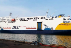 Harga Tiket Kapal Laut Pontianak-Semarang Februari 2023, Tersedia Ferry dari DLU dan Pelni