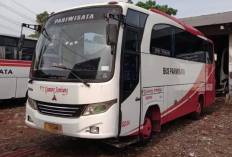 Harga Tiket Bus Gilimanuk ke Denpasar Terbaru 2023, Langsung Booking dengan Kontak Disini!