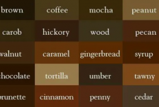 Warna Milo dan Mocca Apakah Sama? Ternyata ini Jawabannya!