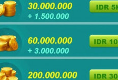 Cara Top Up Higgs Domino 2B Via Dana Jauh Lebih Murah, Spesial Promo Bulan Januari Tahun 2024!
