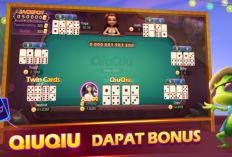 Download QQ Pro HDI (Higgs Domino Island) APK Terbaru 2024, Main Kartu dan Hasilkan Banyak Cuan