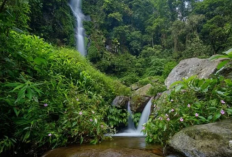 Air Terjun Semirang: Harga Tiket Masuk 2023, Fasilitas, Jam Operasional, dan Lokasi Wisata