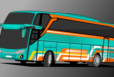 Tarif Terbaru Tiket Bus Gilimanuk ke Denpasar, Booking Sekarang Untuk Liburan Akhir Tahunmu!