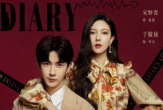 Sinopsis Drama China Wenderella's Diary (2023), Dibintangi Oleh Song Yan Fei dan Yu Meng Long