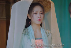Spoiler Ending Substitute (2023) Episode 24, Kisah Akhir Perjalanan Shen Zehan