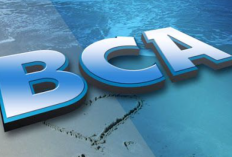 Keuntungan Nasabah BCA Solitaire yang Paling Gokil, Siapkan Dulu Syarat Minimal Saldo Berikut!