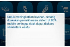 BCA Gangguan Hari Ini Sampai Jam Berapa? Cek Disini! Kenali Penyebab dan Cara Membenahinya Disini