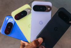 Intip Harga dan Spesifikasi Google Pixel 11 Series Bawa Fitur Lampu LED Multicolor Bernama HiLight yang Aesthetic