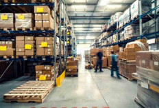 Info Loker PT Wilder Logistics Indonesia Terbaru Juni 2024, Fresh Graduate Silahkan Mendaftar!