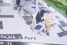 Link Video Viral 2 Remaja Bermesraan di Balai Kota Surabaya Full Durasi HD, Bikin Warganet Geleng-Geleng