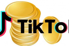 Cara Nuyul Koin TikTok Otomatis Terbaru 2024, Bisa Dapat Rp 600 Ribu Sekali Coba! Berani Gak?